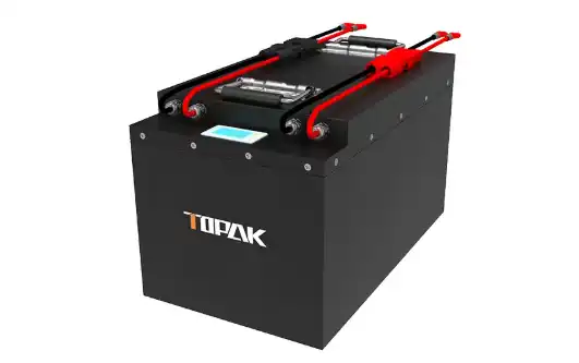 Uses of Low Speed Vehicle Batteries in Resort Transport